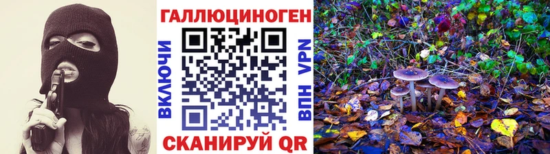 Псилоцибиновые грибы Psilocybe  kraken вход  Корсаков  наркота 